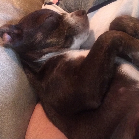 ⭐️ - Picture 4 of 6